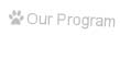 Our Program